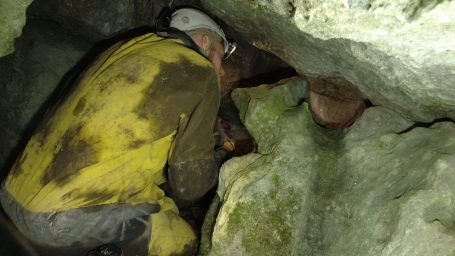 noch ist der Gang  groß