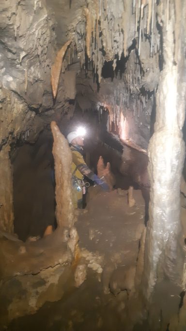 Alex schaut sich die Tropfsteine an