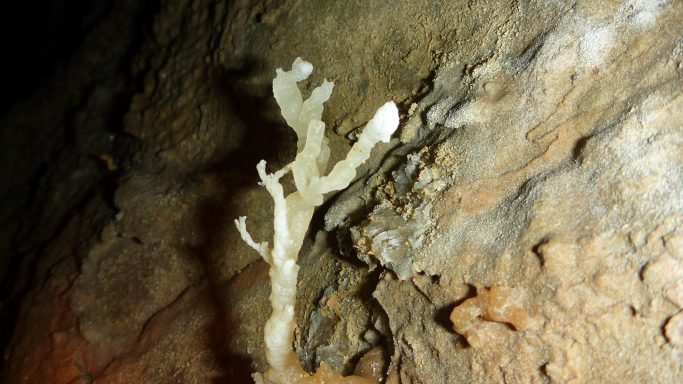 Sinterform-Excentrique