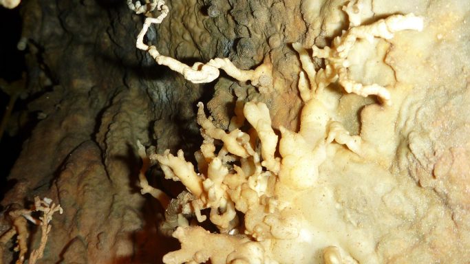 Sinterform-Excentrique