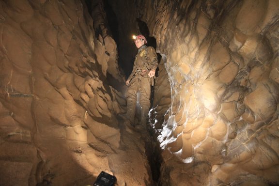 Schöner Gang / Alex