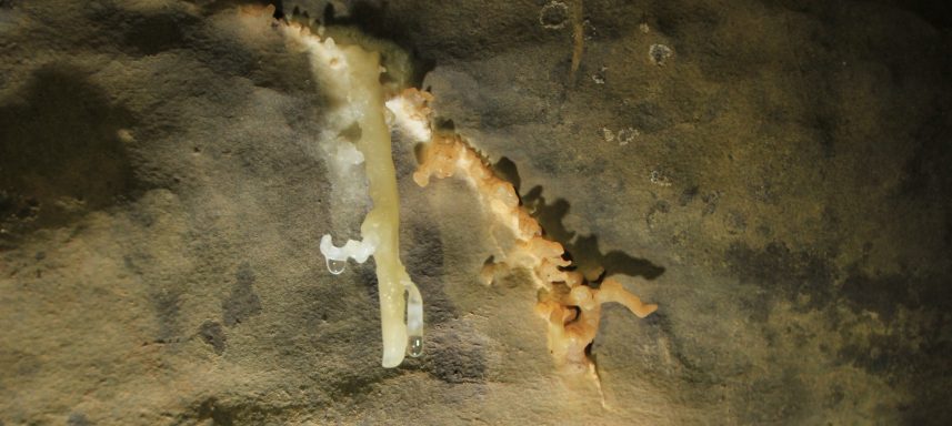 Sinterform-Excentrique